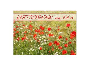 9783435287666 - Klatschmohn im Feld (Wandkalender 2025 DIN A2 quer) CALVENDO Monatskalender