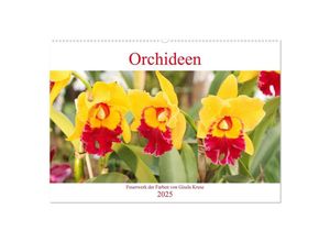 9783435288595 - Orchideen Feuerwerk der Farben (Wandkalender 2025 DIN A2 quer) CALVENDO Monatskalender