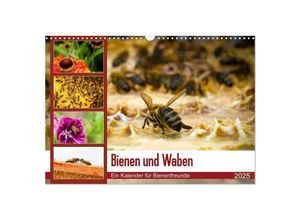 9783435288762 - Bienen und Waben (Wandkalender 2025 DIN A3 quer) CALVENDO Monatskalender