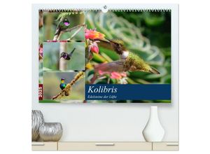 9783435289189 - Kolibris - Edelsteine der Lüfte (hochwertiger Premium Wandkalender 2025 DIN A2 quer) Kunstdruck in Hochglanz