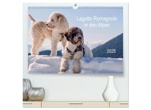 9783435290710 - Lagotto Romagnolo in den Alpen 2025 (hochwertiger Premium Wandkalender 2025 DIN A2 quer) Kunstdruck in Hochglanz