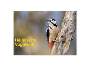 9783435290734 - Heimische Vogelwelt (Wandkalender 2025 DIN A2 quer) CALVENDO Monatskalender