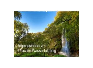 9783435290758 - Impressionen vom Uracher Wasserfallsteig (Wandkalender 2025 DIN A2 quer) CALVENDO Monatskalender