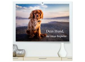 9783435291991 - Dein Hund der treue Begleiter (hochwertiger Premium Wandkalender 2025 DIN A2 quer) Kunstdruck in Hochglanz