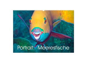 9783435292950 - Portrait Meeresfische (Wandkalender 2025 DIN A2 quer) CALVENDO Monatskalender