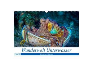 9783435293087 - Wunderwelt Unterwasser (Wandkalender 2025 DIN A3 quer) CALVENDO Monatskalender