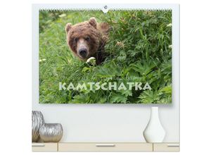 9783435293728 - Aug in Aug mit den Braunbären in Kamtschatka (hochwertiger Premium Wandkalender 2025 DIN A2 quer) Kunstdruck in Hochglanz