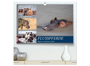 9783435294442 - Hippos im südlichen Afrika (hochwertiger Premium Wandkalender 2025 DIN A2 quer) Kunstdruck in Hochglanz