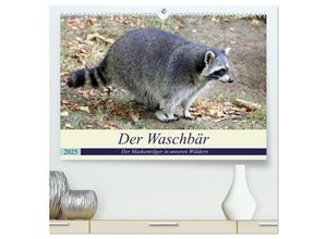 9783435298068 - Der Waschbär - Der Maskenträger in unseren Wäldern (hochwertiger Premium Wandkalender 2025 DIN A2 quer) Kunstdruck in Hochglanz