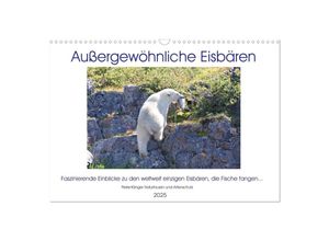 9783435298082 - Das Leben der etwas anderen Eisbären! (Wandkalender 2025 DIN A3 quer) CALVENDO Monatskalender