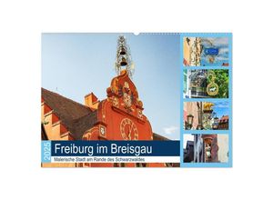 9783435298143 - Freiburg im Breisgau Malerische Stadt am Rande des Schwarzwaldes (Wandkalender 2025 DIN A2 quer) CALVENDO Monatskalender