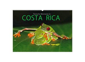 9783435300488 - COSTA RICA - Tierische Momente (Wandkalender 2025 DIN A2 quer) CALVENDO Monatskalender