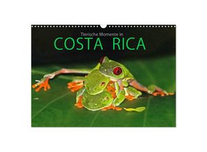 9783435300891 - COSTA RICA - Tierische Momente (Wandkalender 2025 DIN A3 quer) CALVENDO Monatskalender