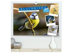 9783435303632 - Gefiederte Gartengäste Blaumeisen (hochwertiger Premium Wandkalender 2025 DIN A2 quer) Kunstdruck in Hochglanz