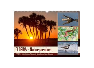 9783435303939 - FLORIDA - Naturparadies (Wandkalender 2025 DIN A3 quer) CALVENDO Monatskalender