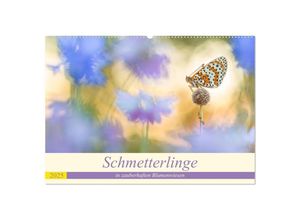 9783435305704 - Schmetterlinge in zauberhaften Blumenwiesen (Wandkalender 2025 DIN A2 quer) CALVENDO Monatskalender