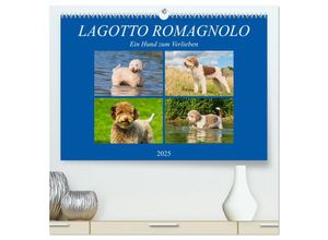 9783435309122 - Lagotto Romagnolo - Ein Hund zum Verlieben (hochwertiger Premium Wandkalender 2025 DIN A2 quer) Kunstdruck in Hochglanz