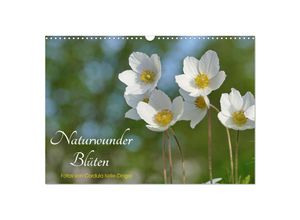 9783435310500 - Naturwunder Blüten (Wandkalender 2025 DIN A3 quer) CALVENDO Monatskalender