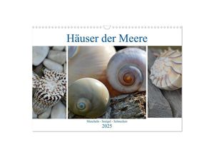 9783435310845 - Häuser der Meere Muscheln - Seeigel - Schnecken (Wandkalender 2025 DIN A3 quer) CALVENDO Monatskalender