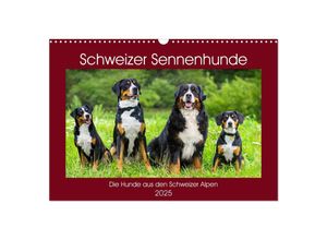 9783435313044 - Schweizer Sennenhunde - die Hunde aus den Schweizer Alpen (Wandkalender 2025 DIN A3 quer) CALVENDO Monatskalender