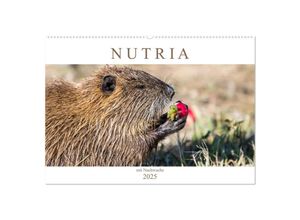 9783435313204 - NUTRIA mit Nachwuchs (Wandkalender 2025 DIN A2 quer) CALVENDO Monatskalender