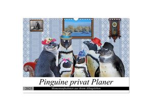 9783435313358 - Pinguine privat Planer (Wandkalender 2025 DIN A3 quer) CALVENDO Monatskalender