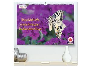 9783435313907 - GEOclick Lernkalender Steckbriefe einheimischer Schmetterlinge (hochwertiger Premium Wandkalender 2025 DIN A2 quer) Kunstdruck in Hochglanz