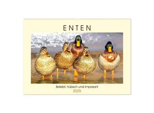 9783435315833 - Enten Beliebt hübsch und imposant (Wandkalender 2025 DIN A2 quer) CALVENDO Monatskalender
