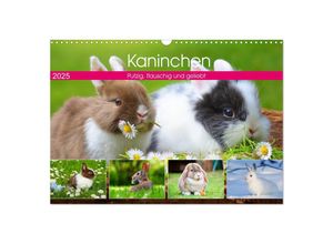 9783435316014 - Kaninchen Putzig flauschig und geliebt (Wandkalender 2025 DIN A3 quer) CALVENDO Monatskalender