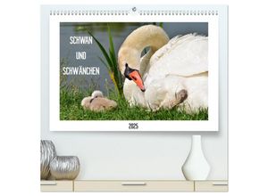 9783435316847 - SCHWAN UND SCHWÄNCHEN (hochwertiger Premium Wandkalender 2025 DIN A2 quer) Kunstdruck in Hochglanz