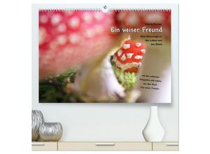 9783435321643 - Ein weiser Freund - Kalender (hochwertiger Premium Wandkalender 2025 DIN A2 quer) Kunstdruck in Hochglanz