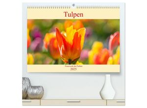 9783435321933 - Tulpen - Feuerwerk der Farben (hochwertiger Premium Wandkalender 2025 DIN A2 quer) Kunstdruck in Hochglanz