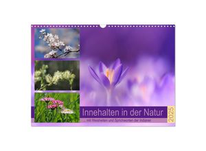 9783435323173 - Innehalten in der Natur  mit Weisheiten und Sprichworten der Indianer (Wandkalender 2025 DIN A3 quer) CALVENDO Monatskalender