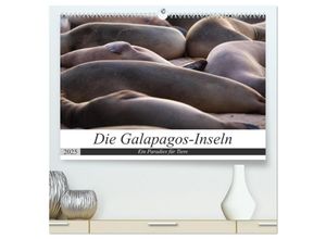 9783435323678 - Galapagos-Inseln - Ein Paradies für Tiere (hochwertiger Premium Wandkalender 2025 DIN A2 quer) Kunstdruck in Hochglanz