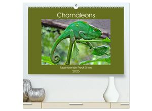 9783435325047 - Chamäleons - faszinierende Freak Show (hochwertiger Premium Wandkalender 2025 DIN A2 quer) Kunstdruck in Hochglanz