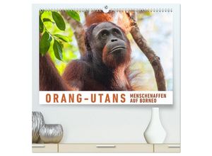 9783435325054 - Orang-Utans Menschenaffen auf Borneo (hochwertiger Premium Wandkalender 2025 DIN A2 quer) Kunstdruck in Hochglanz