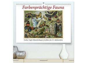 9783435325283 - Farbenprächtige Fauna Fische Vögel Schmetterlinge in Grafiken des 19 Jahrhunderts (hochwertiger Premium Wandkalender 2025 DIN A2 quer) Kunstdruck