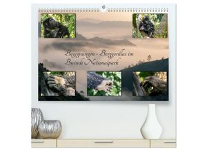 9783435327690 - Begegnungen - Berggorillas im Bwindi Nationalpark (hochwertiger Premium Wandkalender 2025 DIN A2 quer) Kunstdruck in Hochglanz