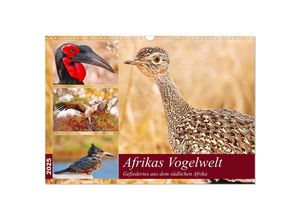 9783435328352 - Afrikas Vogelwelt 2025 (Wandkalender 2025 DIN A3 quer) CALVENDO Monatskalender