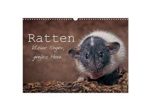 9783435328499 - Ratten Kleine Nager großes Herz (Wandkalender 2025 DIN A3 quer) CALVENDO Monatskalender