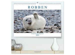 9783435330249 - Robben - Lustige Bewohner Helgolands (hochwertiger Premium Wandkalender 2025 DIN A2 quer) Kunstdruck in Hochglanz