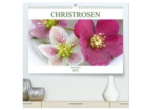 9783435331420 - Christrosen (hochwertiger Premium Wandkalender 2025 DIN A2 quer) Kunstdruck in Hochglanz