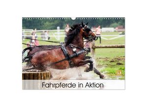 9783435333066 - Fahrpferde in Aktion (Wandkalender 2025 DIN A3 quer) CALVENDO Monatskalender