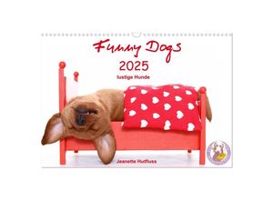 9783435333486 - Funny Dogs (Wandkalender 2025 DIN A3 quer) CALVENDO Monatskalender