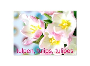 9783435333745 - Tulpen Tulips Tulipes (Wandkalender 2025 DIN A2 quer) CALVENDO Monatskalender