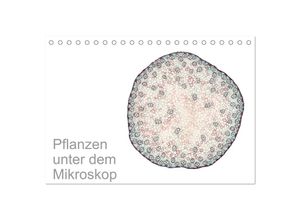 9783435338429 - Pflanzen unter dem Mikroskop (Tischkalender 2025 DIN A5 quer) CALVENDO Monatskalender