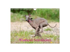 9783435338825 - Windspiel Schönheiten (Wandkalender 2025 DIN A4 quer) CALVENDO Monatskalender