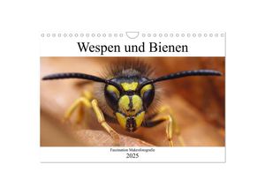 9783435340965 - Faszination Makrofotografie Wespen und Bienen (Wandkalender 2025 DIN A4 quer) CALVENDO Monatskalender