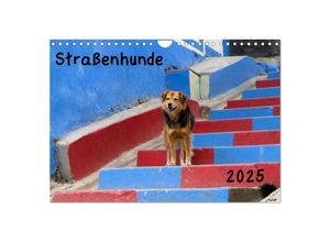 9783435342679 - Straßenhunde 2025 (Wandkalender 2025 DIN A4 quer) CALVENDO Monatskalender