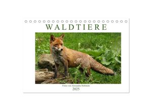 9783435343409 - Waldtiere (Tischkalender 2025 DIN A5 quer) CALVENDO Monatskalender